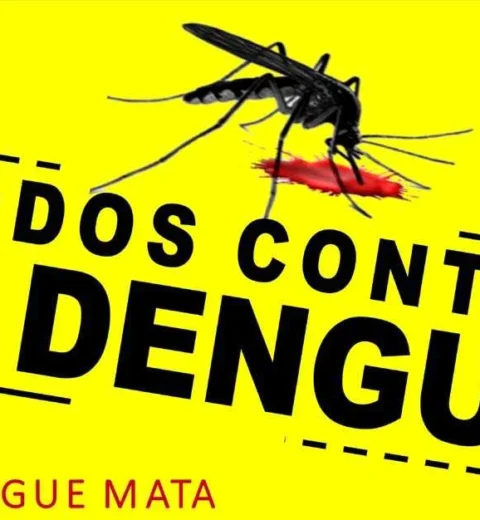 Projeto de lei da Política Municipal de habitação de Holambra