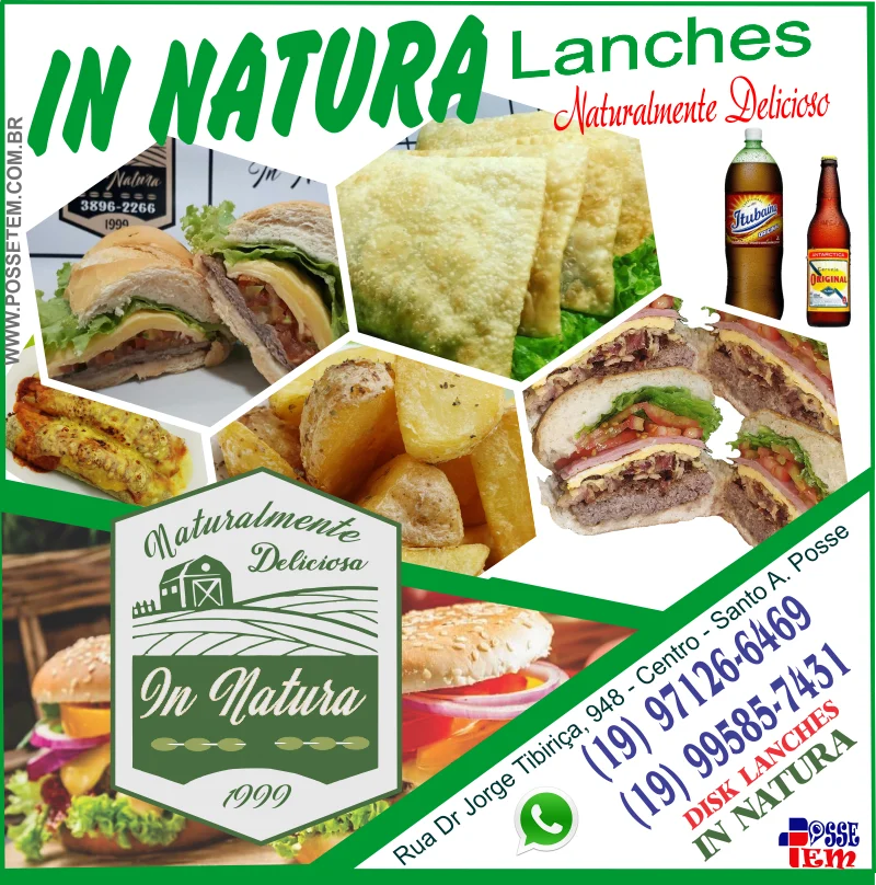 IN NATURA LANCHES