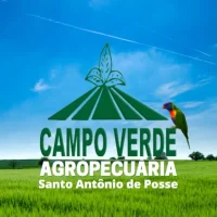 CAMPO VERDE AGROPECUÁRIA CAMPO VERDE AGROPECUÁRIA
