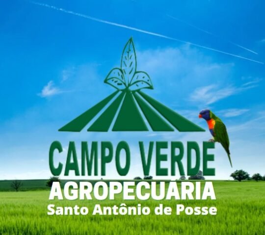 CAMPO VERDE AGROPECUÁRIA