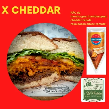 02020 - in natura LANCHES 1