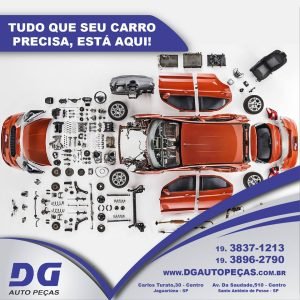 2017 DG Auto pecas jaguartem 3