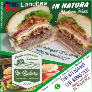 2020 - Lanche hamburguer 200 gr - In natura