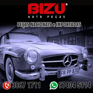 2022 - Bizu Auto Peças No Guia Tem (15)