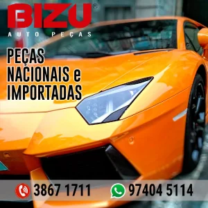 2022 - Bizu Auto Peças No Guia Tem (19)