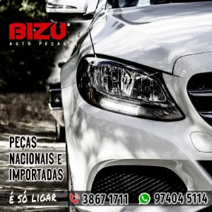 2022 - Bizu Auto Peças No Guia Tem (20)