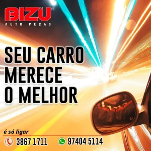 2022 - Bizu Auto Peças No Guia Tem (23)