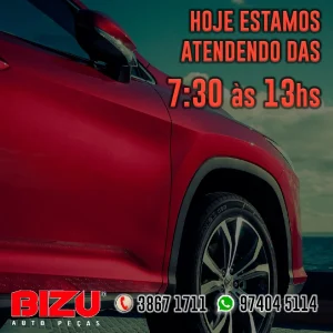 2022 - Bizu Auto Peças No Guia Tem (3)
