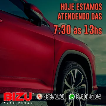 2022 - Bizu Auto Peças No Guia Tem (3)