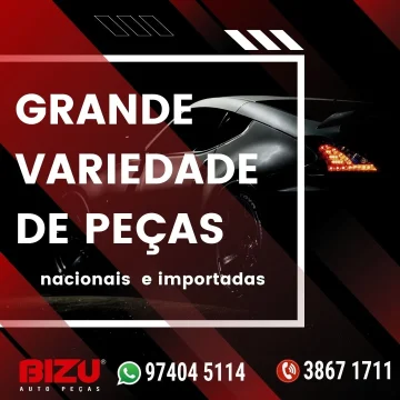 2022 - Bizu Auto Peças No Guia Tem (4)