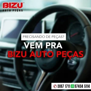 2022 - Bizu Auto Peças No Guia Tem (6)