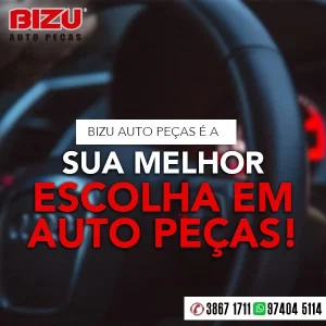 2022 - Bizu Auto Peças No Guia Tem (7)