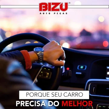 2022 - Bizu Auto Peças No Guia Tem (8)