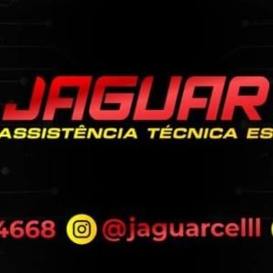 2022 - JaguarCell (21)