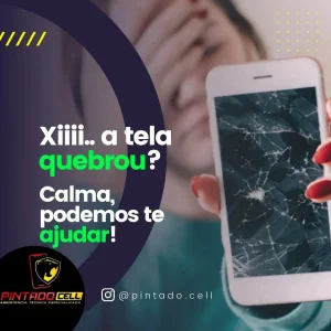 2024 - Pintado Cell na Posse tem 1 (11)