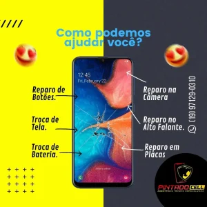 2024 - Pintado Cell na Posse tem 1 (3)