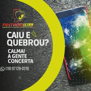 2024 - Pintado Cell na Posse tem 1 (4)