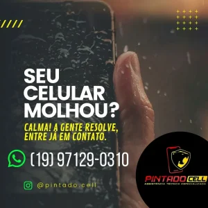 2024 - Pintado Cell na Posse tem 1 (5)