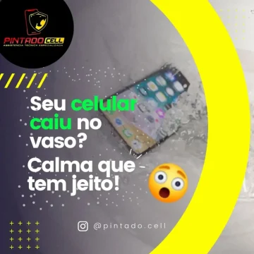 2024 - Pintado Cell na Posse tem 1 (9)