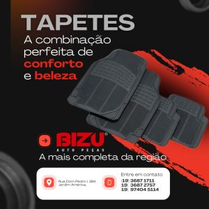Bizu Auto Peças