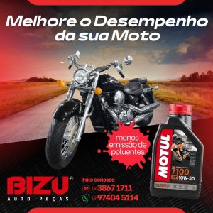 2026 - Bizu Auto Peças (10)