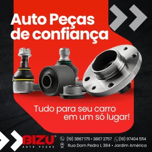 2026 - Bizu Auto Peças (12)