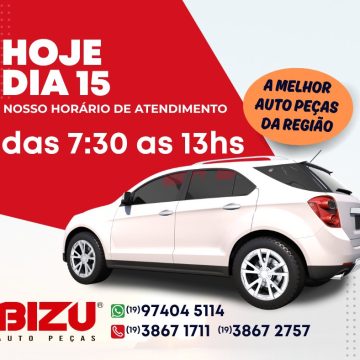 2026 - Bizu Auto Peças (13)