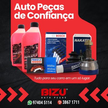 2026 - Bizu Auto Peças (2)