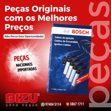2026 - Bizu Auto Peças (5)