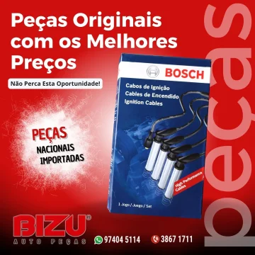2026 - Bizu Auto Peças (5)
