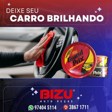 2026 - Bizu Auto Peças (6)