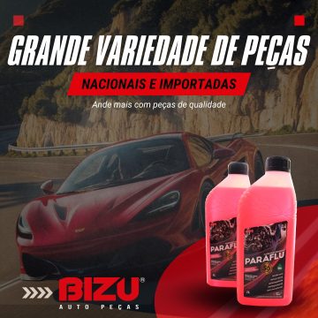 2026 - Bizu Auto Peças (7)
