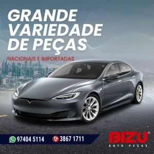 2026 - Bizu Auto Peças (8)