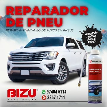 2026 - Bizu Auto Peças (9)