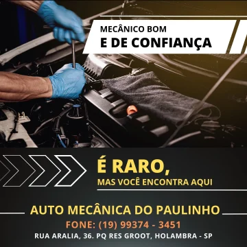Auto Mecânica do Paulinho (1a