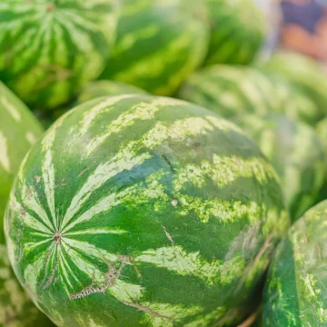 Blurred background of watermelons in the market, background and screensaver idea for advertising or seasonal products store