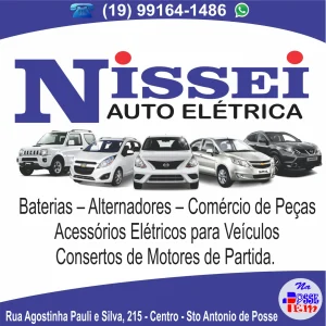 Nissei Auto Elétrica