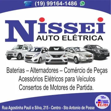 Nissei Auto Elétrica