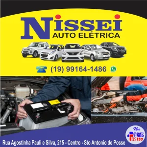 Nissei Auto elétrica 3