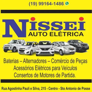 Nissei Auto elétrica