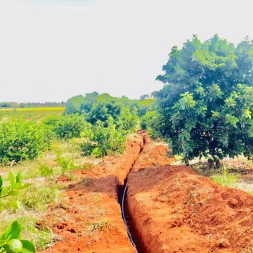 RF ENGENHARIA & ESCAVAÇÕES (16)