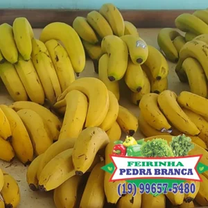 feirinha pedra branca1