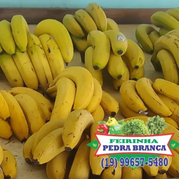 feirinha pedra branca1