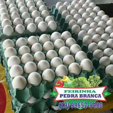feirinha pedra branca8